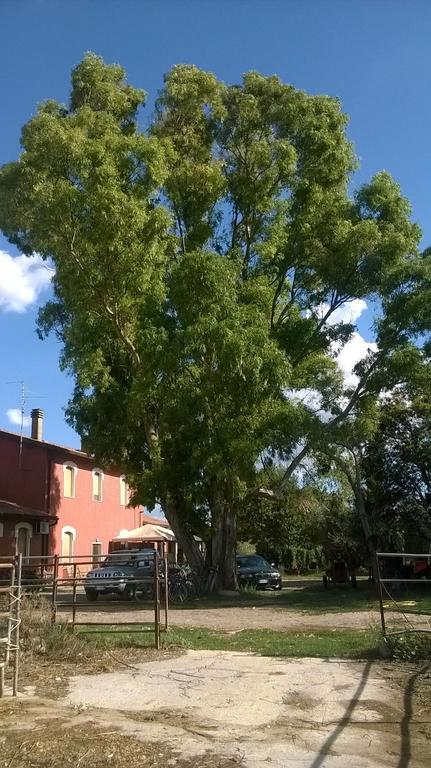 Séjour à la ferme Carso *