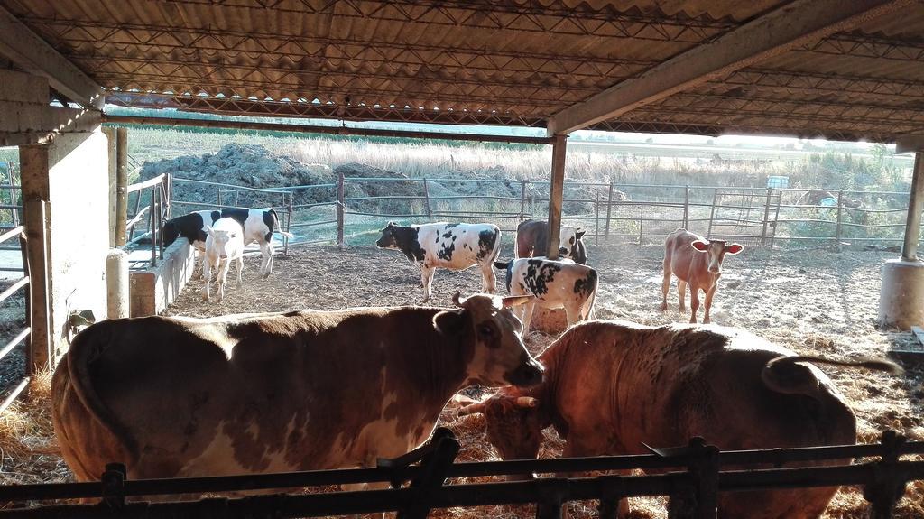 Carso Séjour à la ferme Alberese