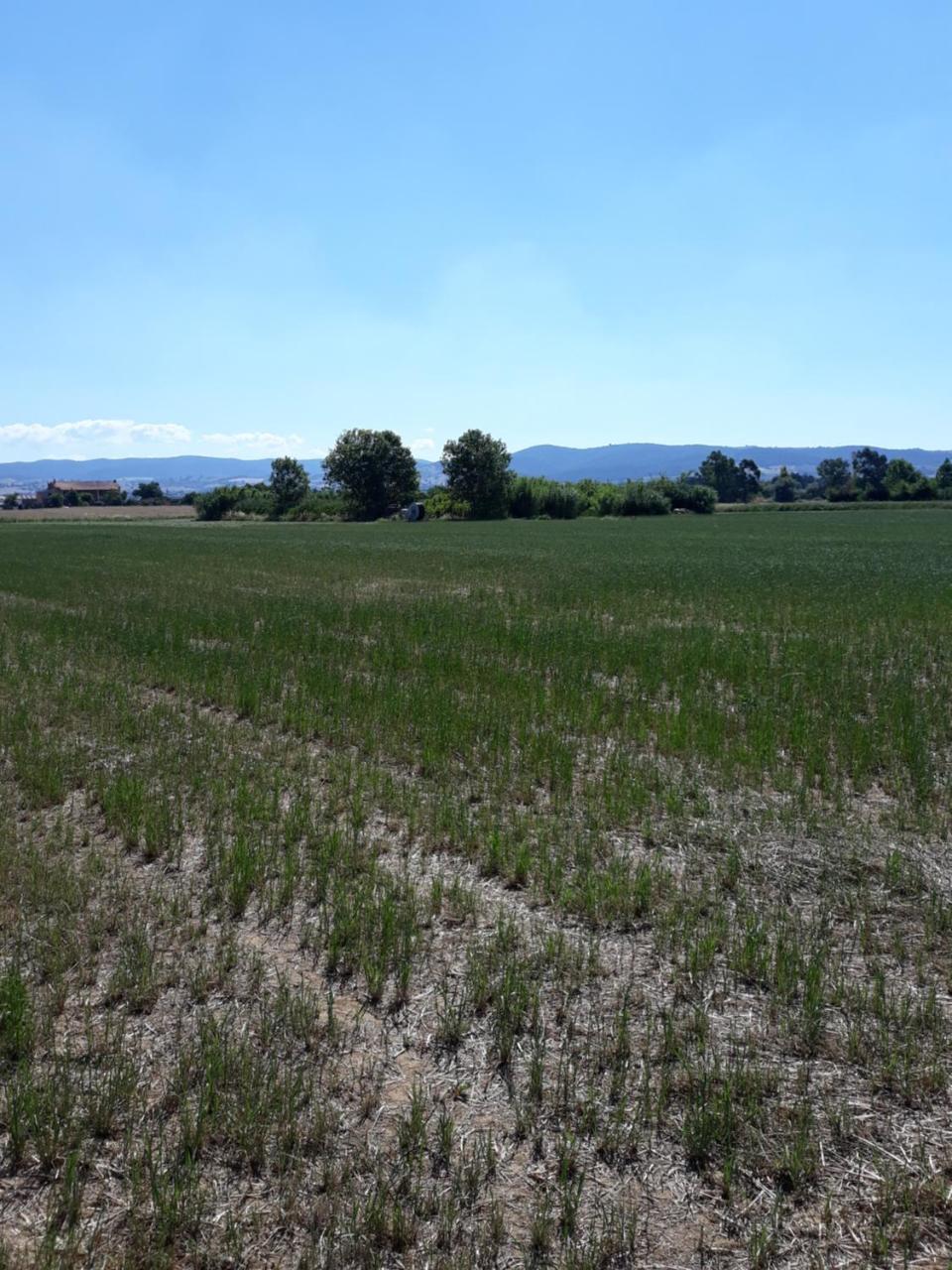 Séjour à la ferme Carso Alberese